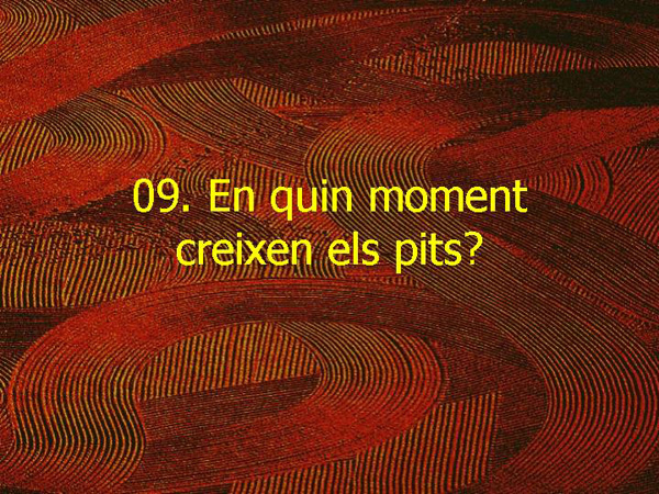 EC1 36 Creixement pits